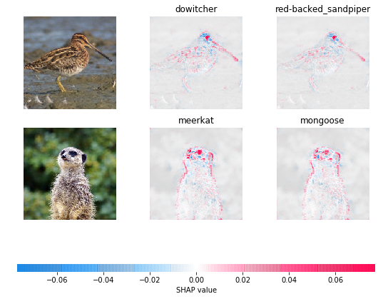 ../../../_images/example_notebooks_image_examples_image_classification_Explain_an_Intermediate_Layer_of_VGG16_on_ImageNet_%28PyTorch%29_5_0.png