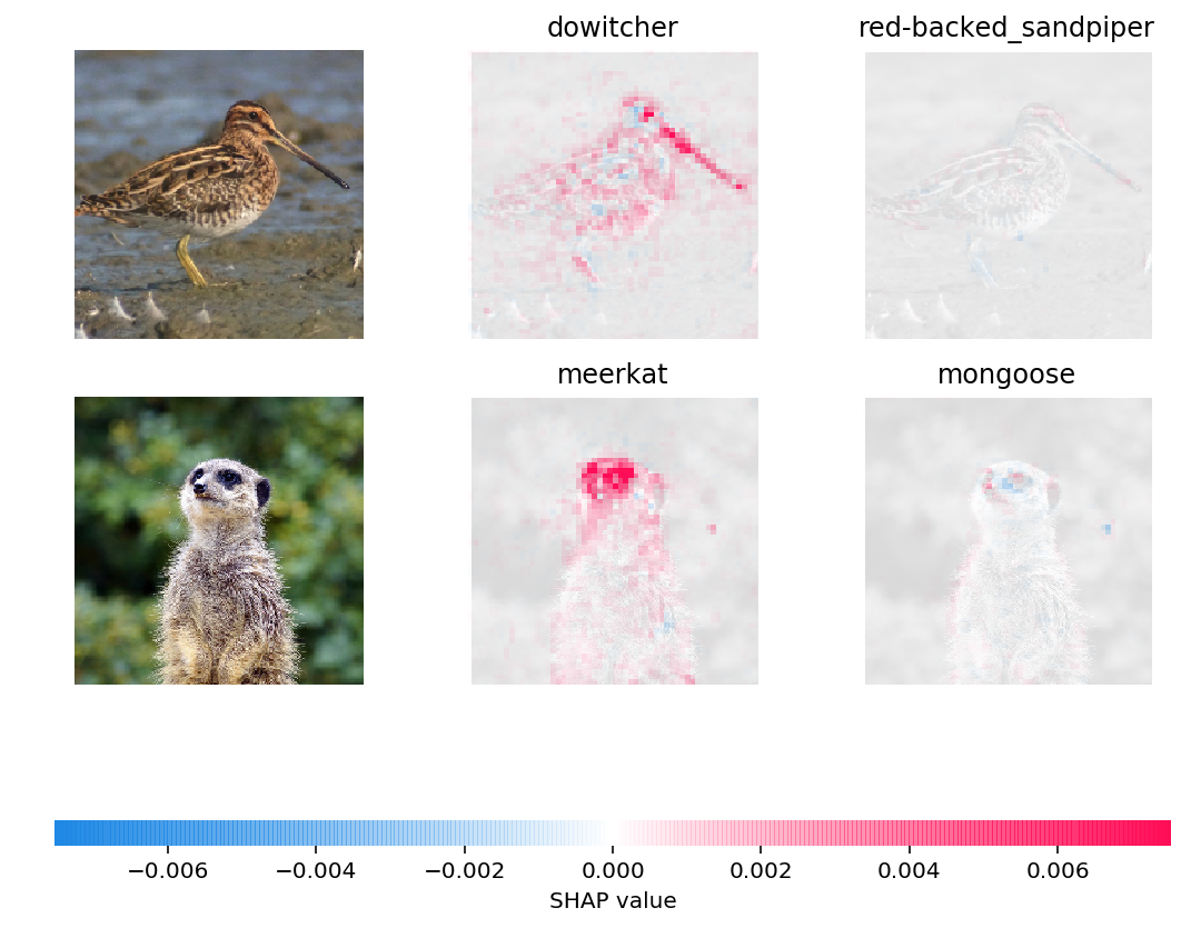 ../../../_images/example_notebooks_image_examples_image_classification_Explain_an_Intermediate_Layer_of_VGG16_on_ImageNet_1_1.png