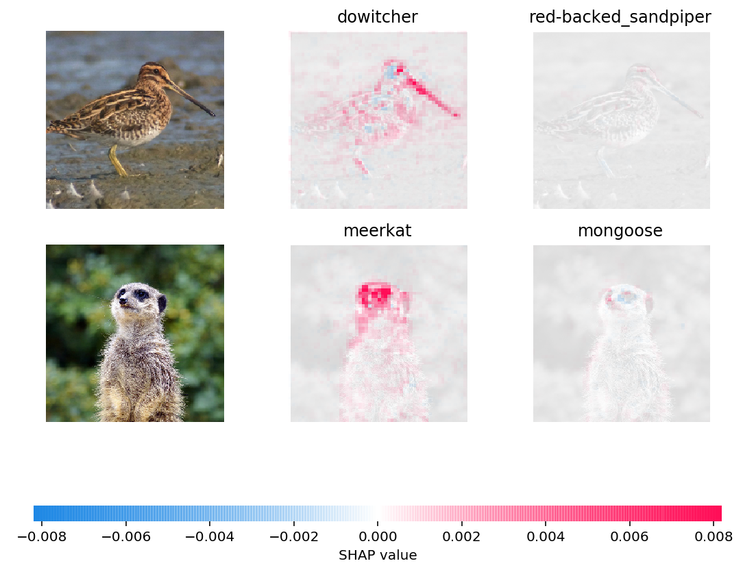 ../../../_images/example_notebooks_image_examples_image_classification_Explain_an_Intermediate_Layer_of_VGG16_on_ImageNet_3_0.png